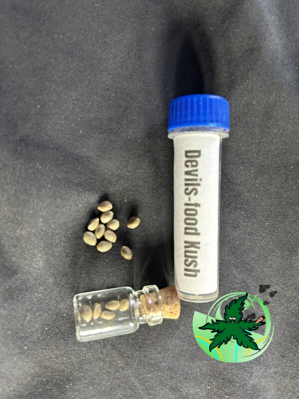 Devils-Food Kush Seed - Image 3