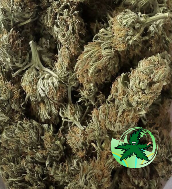 Devils-Food Kush Seed